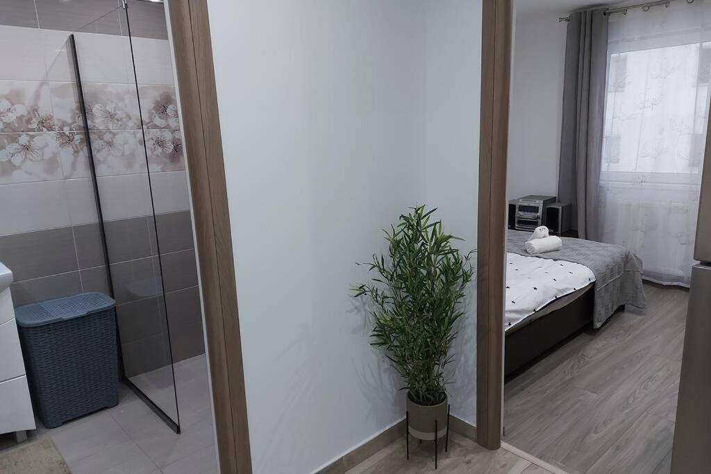 Hidden Apartment Miercurea Ciuc Ngoại thất bức ảnh