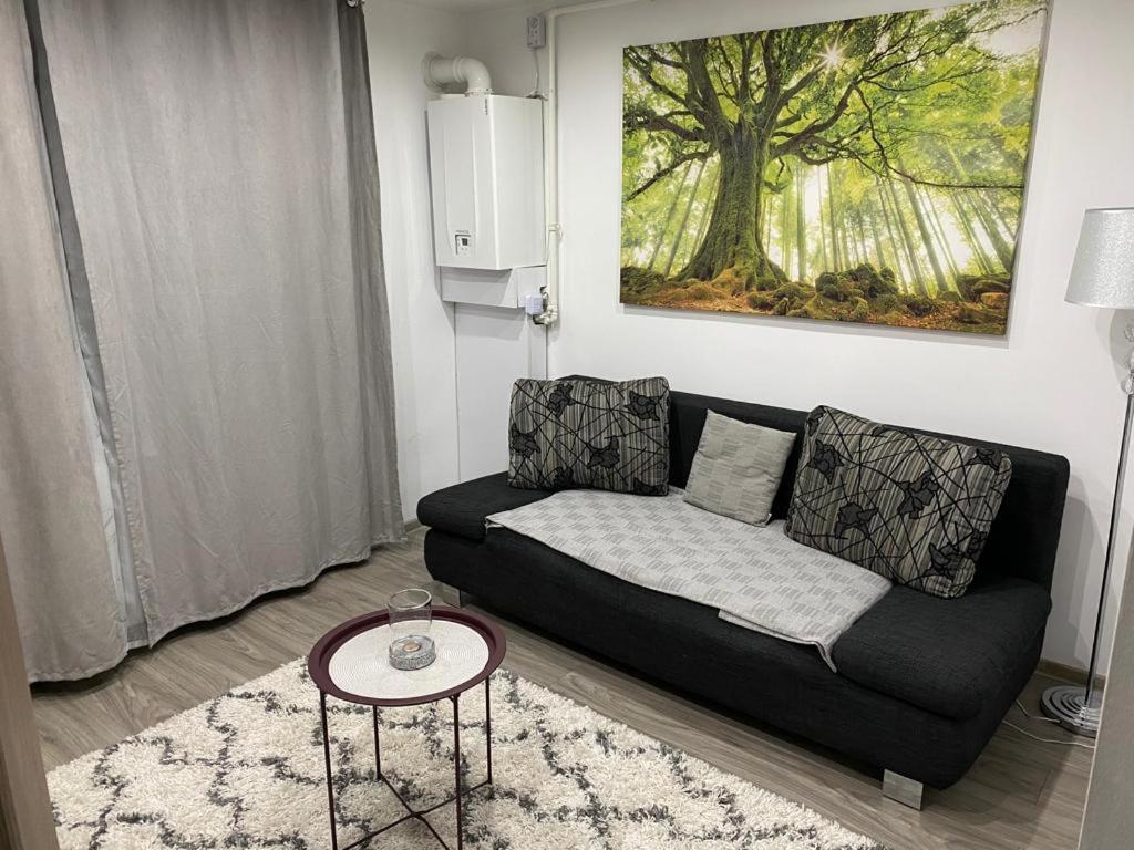 Hidden Apartment Miercurea Ciuc Ngoại thất bức ảnh